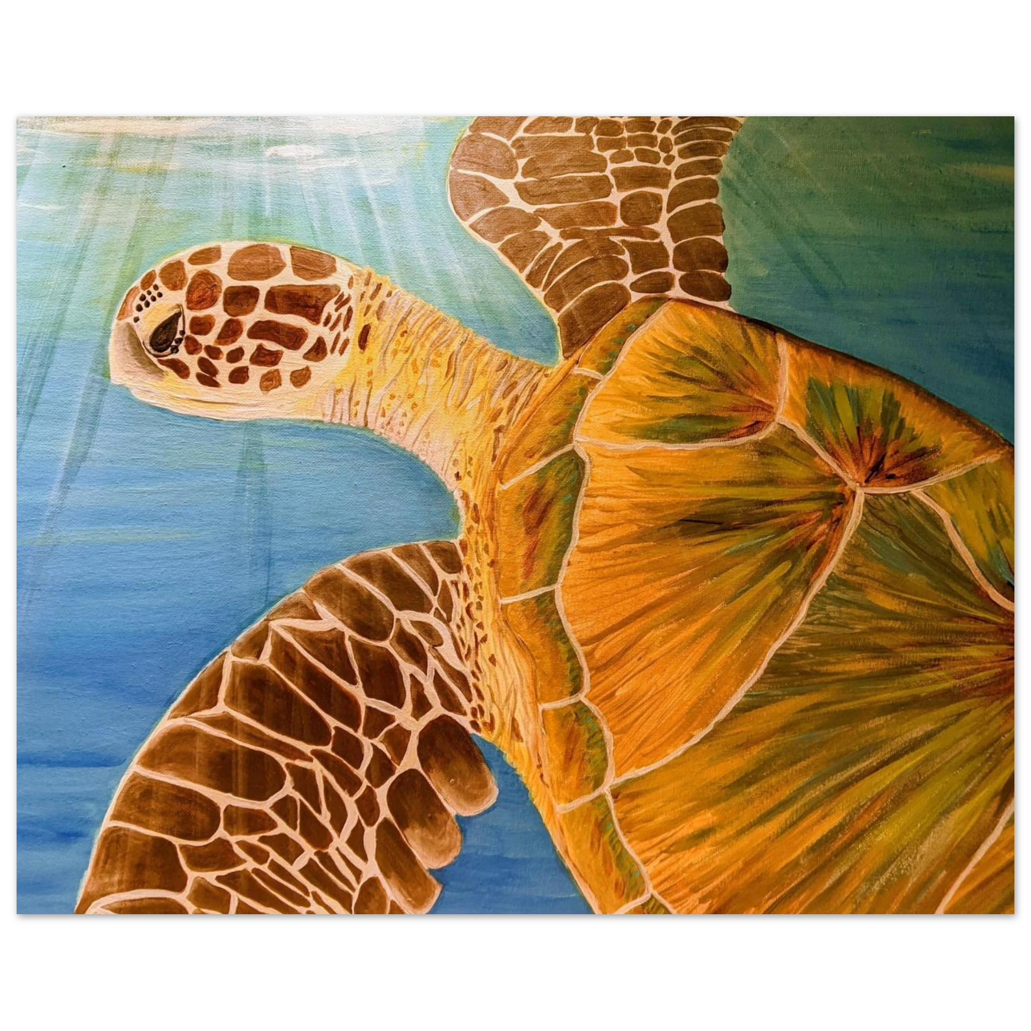 2d6d5e64-8725-49a3-b0e9-6068eafaa4e1