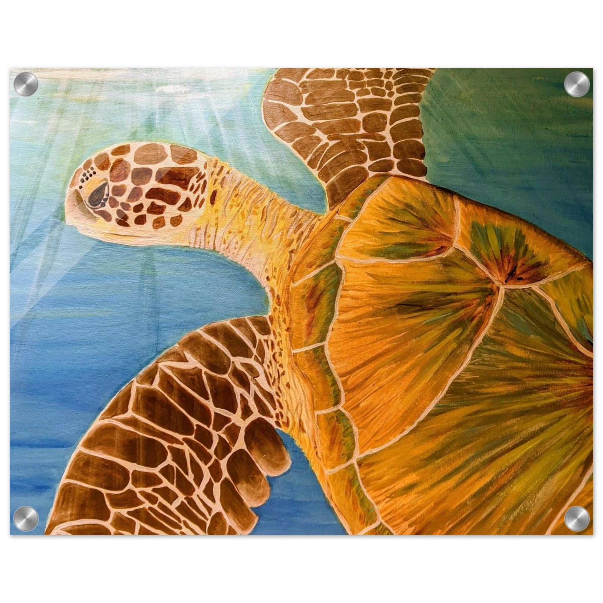 813f3593-ad2f-47b8-a485-cf73e1d499c2